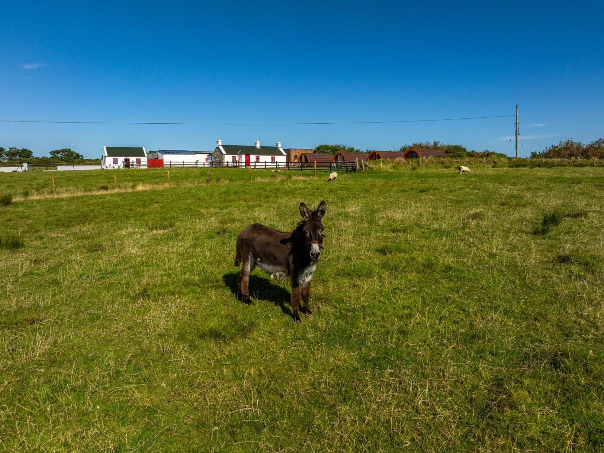 Hotel Geraghtys Farmyard Pods Belmullet Exterior foto